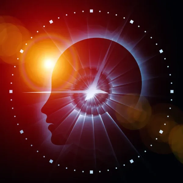 Stress-Free Workday Blueprint